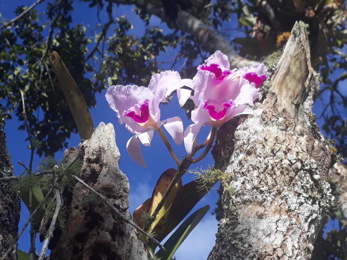 Casa Pampa Otel San Agustín Dış mekan fotoğraf